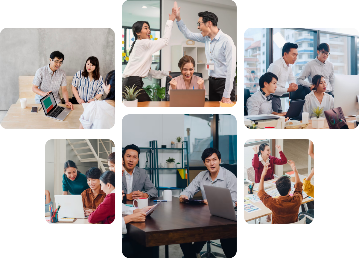 company profile colase galeri